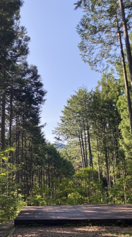 【メイン】結の会🌳交流サロン