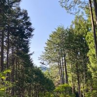 【メイン】結の会🌳交流サロン
