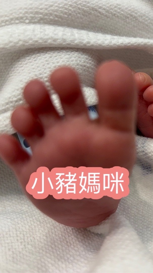 小豬媽咪❤️孕婦嬰幼兒用品🍼