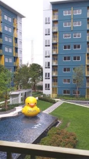 ลูกบ้าน Plum Condo Park Rangsit