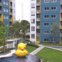 ลูกบ้าน Plum Condo Park Rangsit