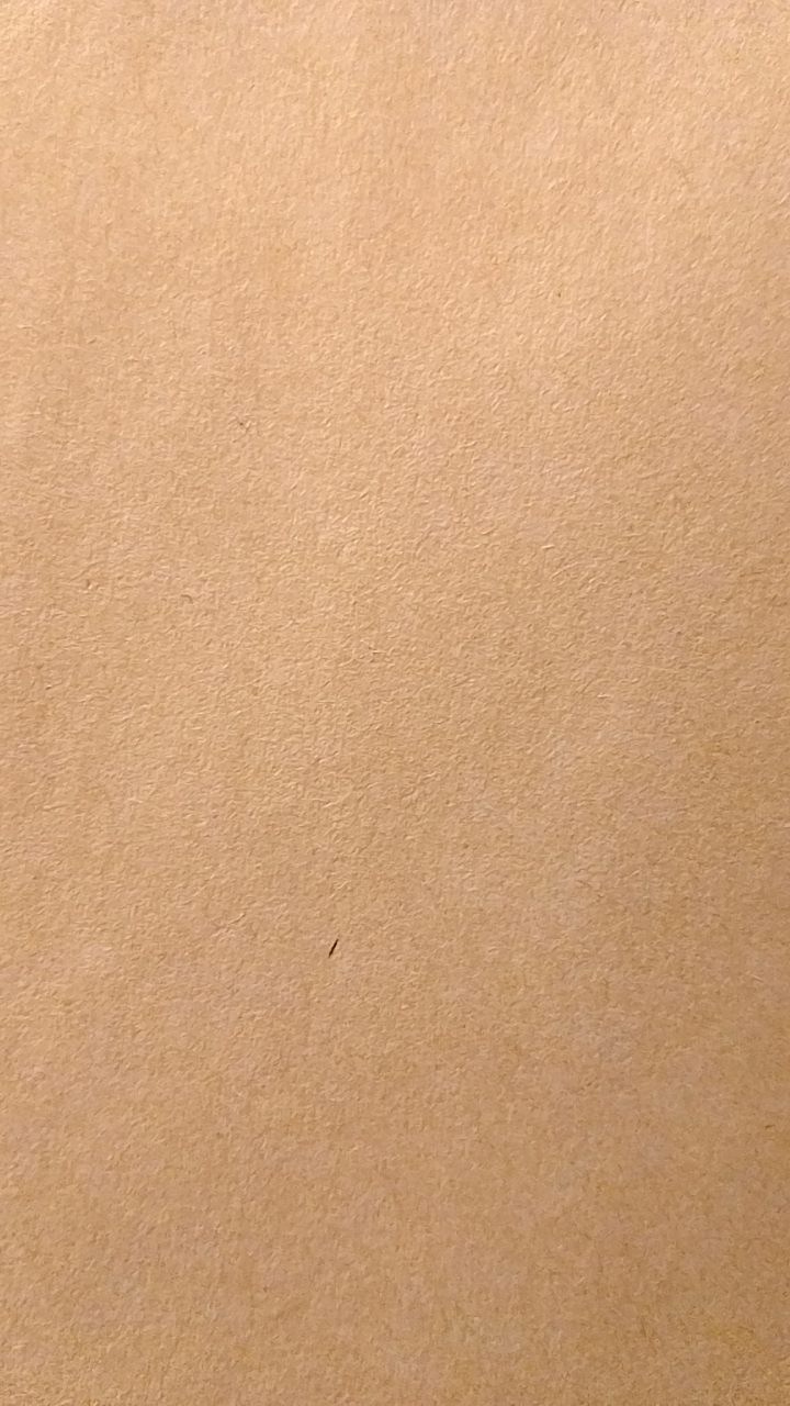 【一宮市】浮野町内会