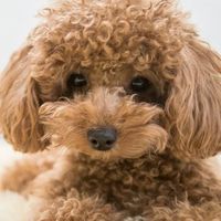 みんなで楽しく雑談しましょう
