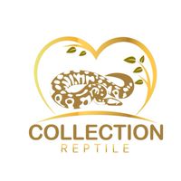 collection reptile