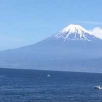 獣医師　平郡先生の健康雑学