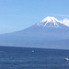 獣医師　平郡先生の健康雑学
