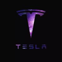 Tesla 莊教練，板烤🚗