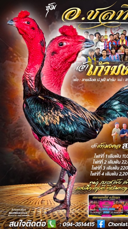 ซุ้ม อ.ชลทิตย์ (สังกัด ป.ประเทือง)