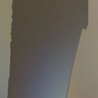 競爭者SKX團