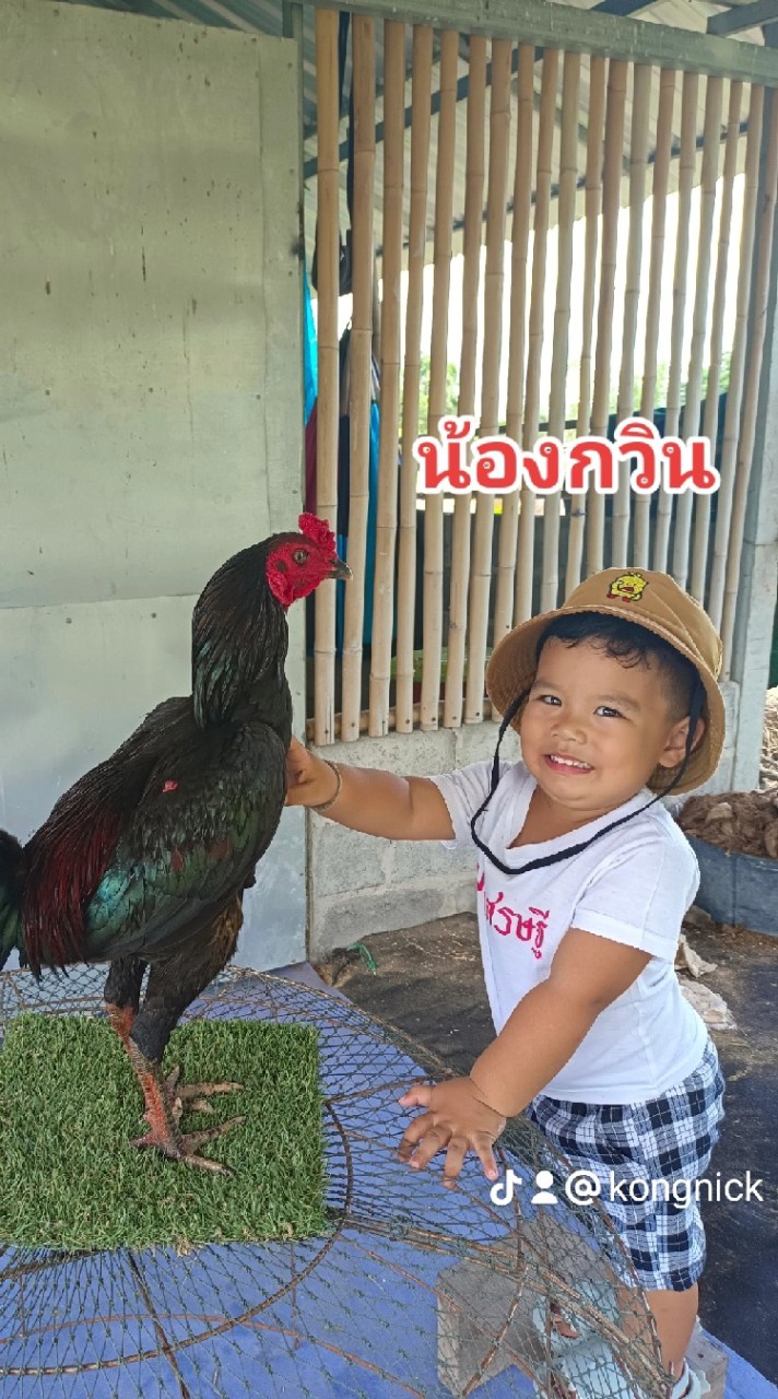 โชคกวิน ผลเศรษฐีฟาร์ม