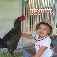 โชคกวิน ผลเศรษฐีฟาร์ม