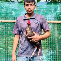 น้องมิเกลฟาร์มโคราช.👑