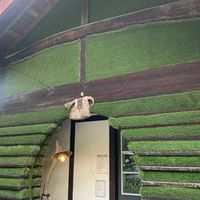 🐾恋バナプロフ部屋🐾
