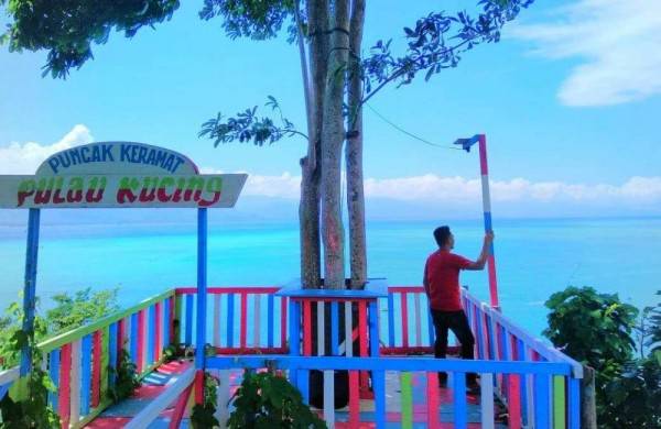 Gambar Bunga Kembang Pulu - GAMBAR BUNGA