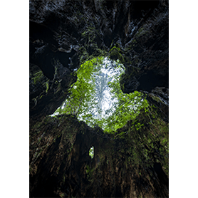 ハート型風景着せかえ特集 ピックアップ Line Store