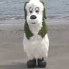 め〜っちゃ緩々⁉️な全緩也‼️ ライトしよう‼️