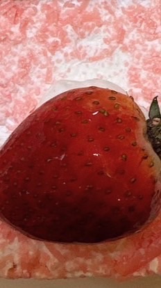 大鼻孔