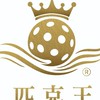 匹克球 匹克王pickle king 無差別臨打團
