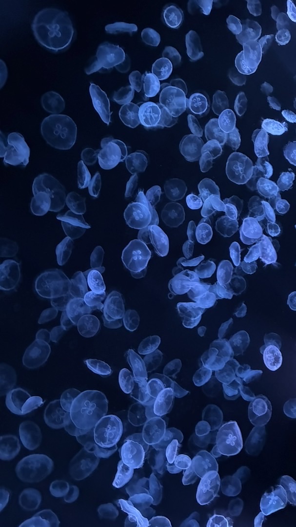 【学生限定】少人数で雑談・ゲームやろ！！