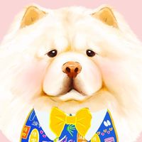 鬆獅中毒🦁️🐶