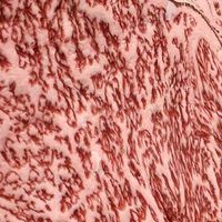 好塊肉👉各類進口牛肉資訊站🐃🐂