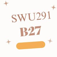 SWU 291 - B27