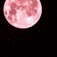クトゥルフ神話TRPG   6版卓  大豆(ダイス)卓