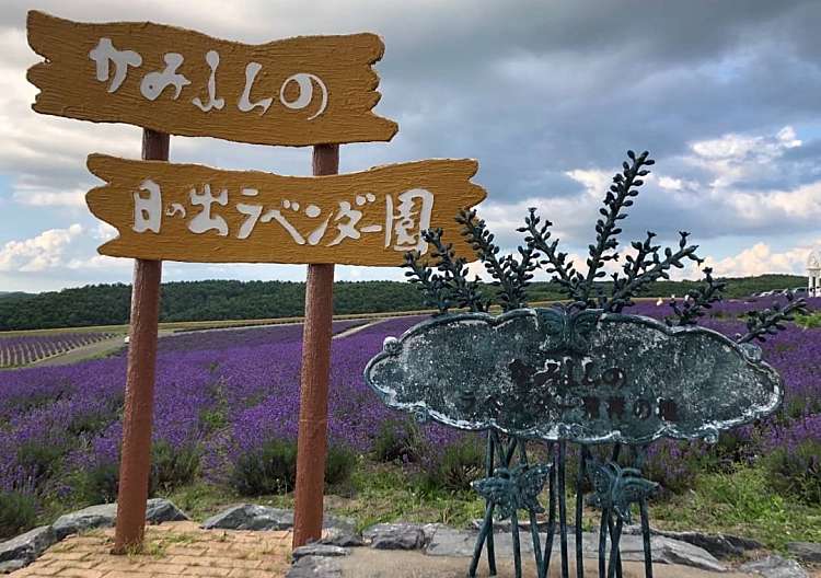 口コミの詳細 日の出ラベンダー園 東1線北 公園 By Line Place