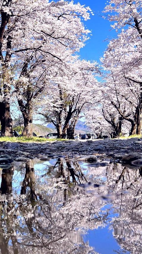 写真撮影楽しみたい！