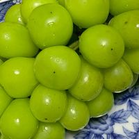 【全国版】笑顔で仲良し地元情報ルーム