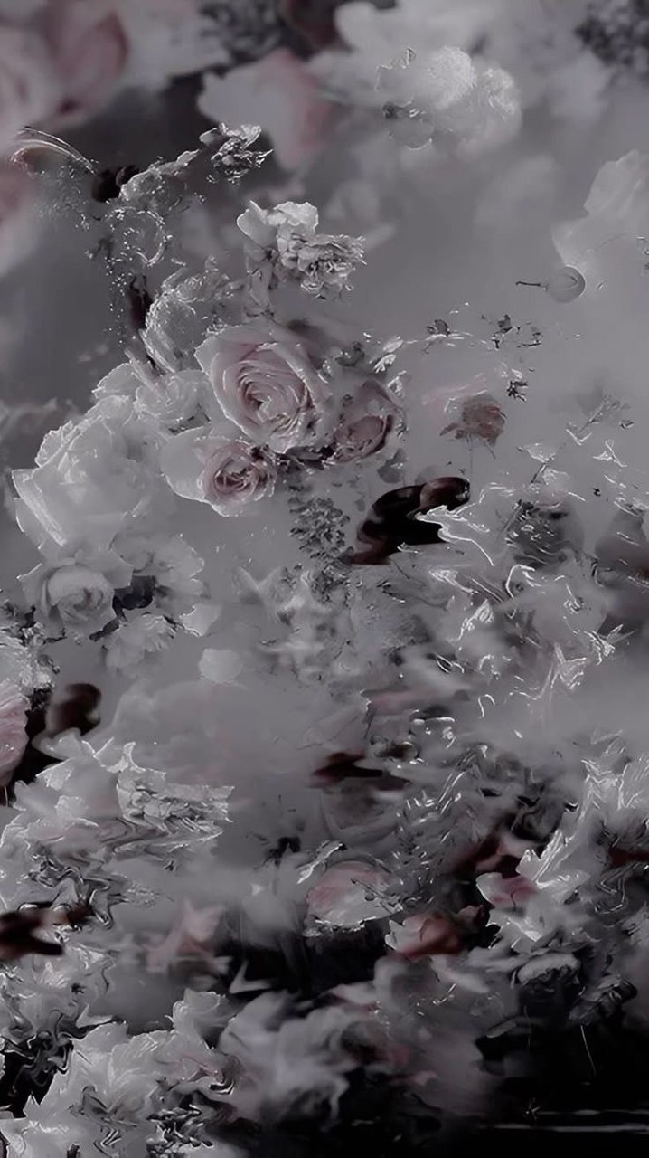 全也  ↺↺   折伽羅有  .