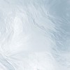 CCD群 （有社群優惠價）