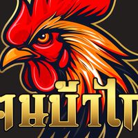 คนบ้าไก่ ครอบครัวไก่ชน289