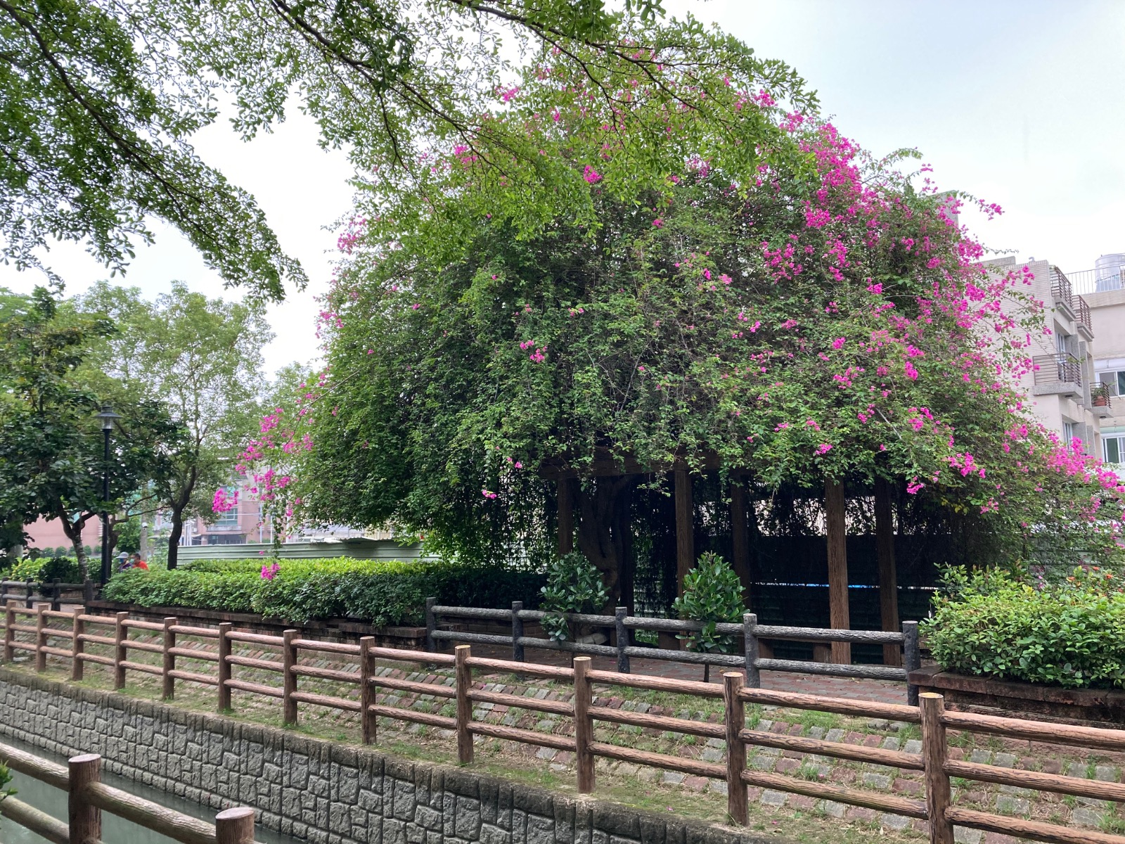 圖片來源/南圳綠堤堤岸公園-LINE熱點