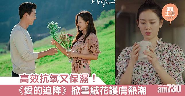 高效抗氧又保濕!《愛的迫降》掀雪絨花護膚熱潮
