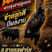 🐦‍🔥ส.สายชล ฟาร์ม🐦‍🔥168