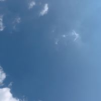 ジャニーズと恋せーへん？