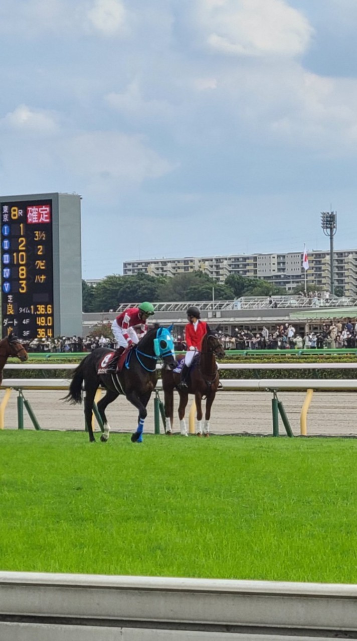 オッズサーフィン🐴のオープンチャット