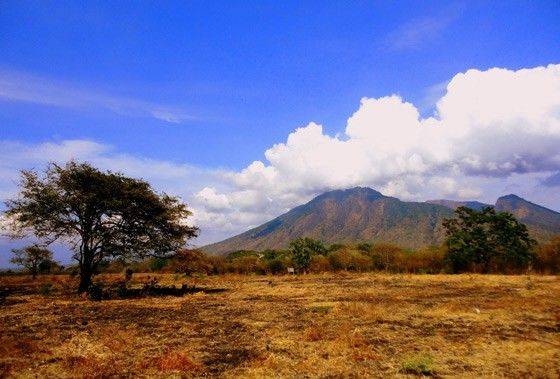 Keren 20 Taman Nasional Paling Eksotis Di Indonesia