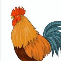 กลุ่มเลี้ยงไก่พื้นบ้าน