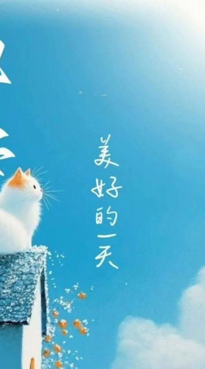 陳振榮老師國標舞夏季班