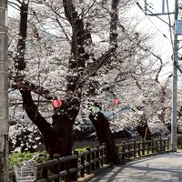 日本流浪筆記
