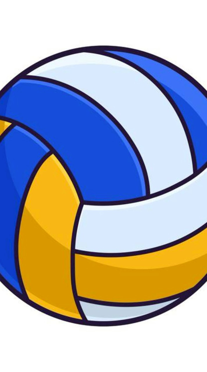Volleyball naja !