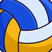 Volleyball naja !