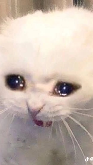 ตอนเด็กมีไมโลตอนโตมีไมเกรน