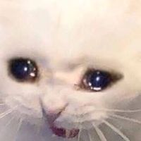 ตอนเด็กมีไมโลตอนโตมีไมเกรน