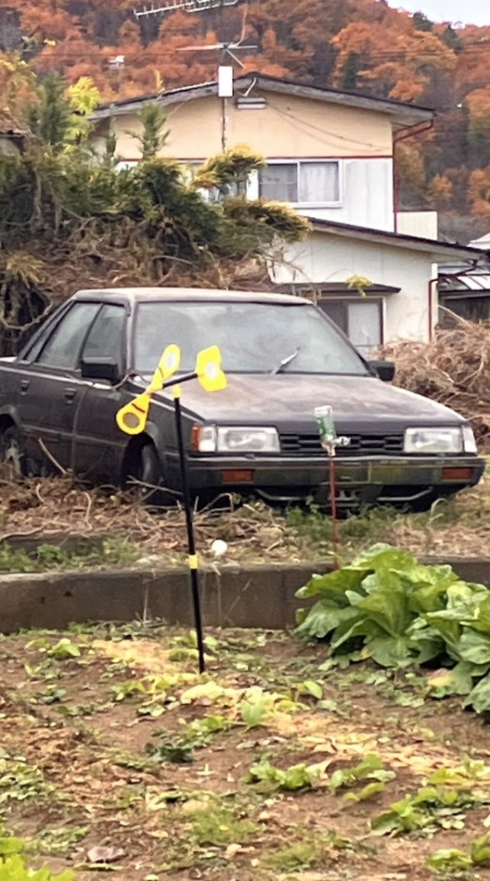 車好きの聖地