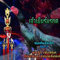 ซุ้มโชคมงคลชัย ชัยภูมิ