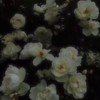 薄気味色 の イリュージョン .. ¿¿ 旧J 激🤯緩⁉️⁉️⁉️✨🌟💫✨🌟💫✨
