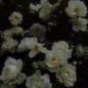 薄気味色 の イリュージョン .. ¿¿ 旧J 激🤯💥緩⁉️⁉️⁉️✨🌟💫✨🌟💫✨
